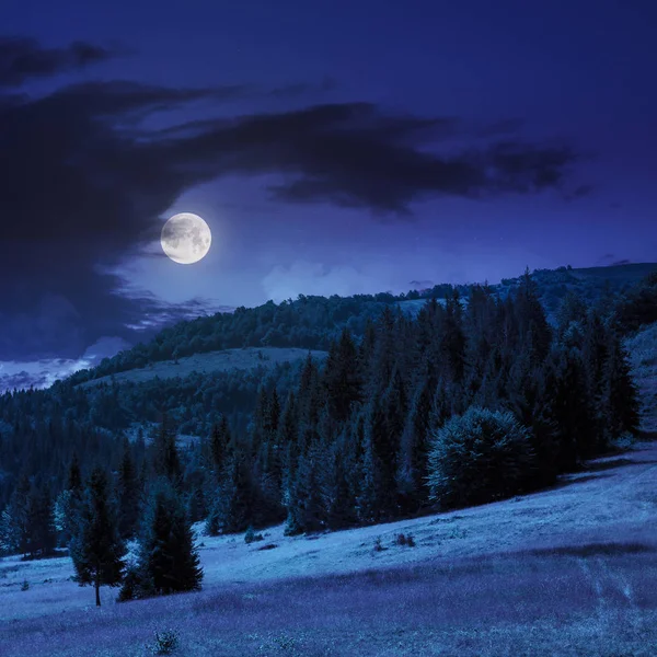 Nachylenie Gór Lasem Iglastego Łąką Nocy Pełni Księżyca — Zdjęcie stockowe