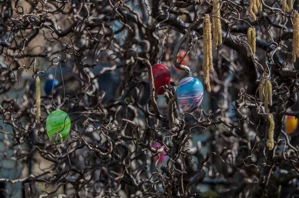 Árvore Páscoa Com Ovos Coloridos Início Primavera — Fotografia de Stock