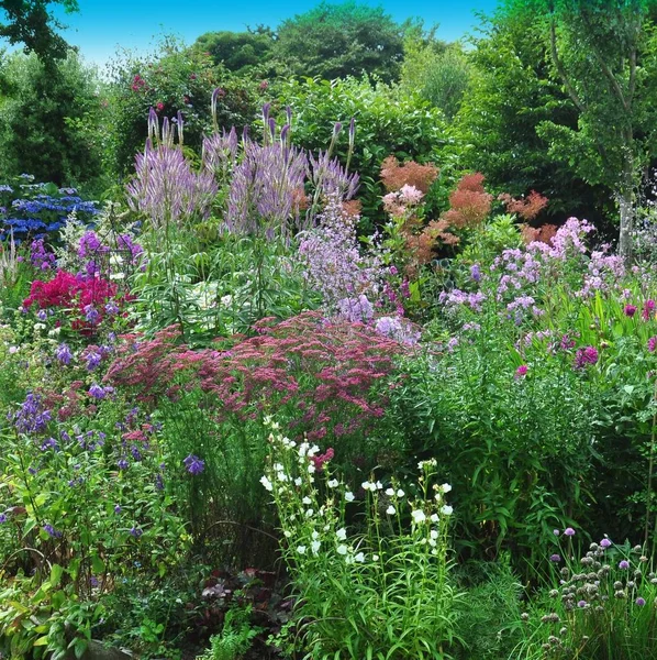 Garten Szene Resonanz Auf Einen Solchen Anblick Auf Der Ganzen — Stockfoto