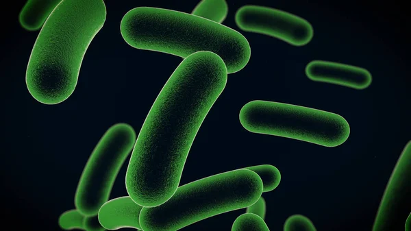Rendu Des Cellules Bactériennes — Photo