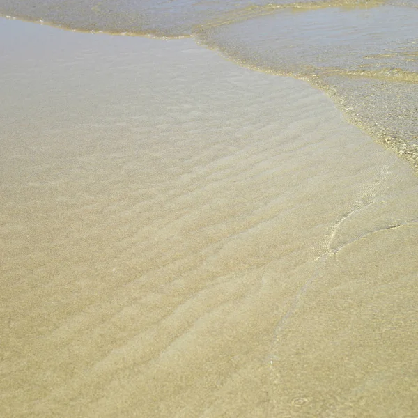 Gouden Zandstrand Bij Lage Waterstanden — Stockfoto