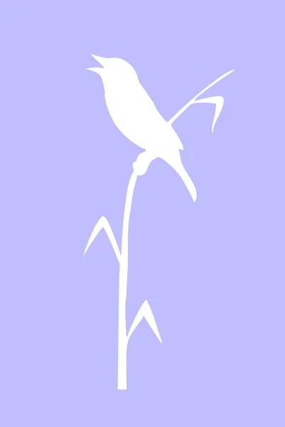 Rysunek Ptak Siedzący Trzcina Wektor — Zdjęcie stockowe