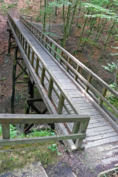 Holzbrücke Tiefen Wald Wanderweg — Stockfoto