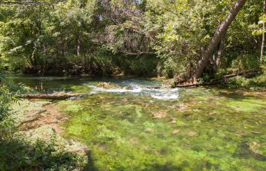 Crystal clear Alley Springs in the Ozark National Scenic Riverways, Missouri clipart