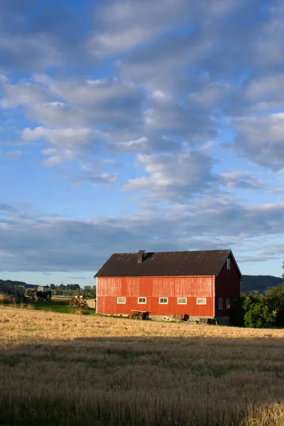 在挪威北特恩德拉格的弗罗斯特塔村的一个农场里 一个红漆的木谷仓沐浴在午后柔和的阳光下 垂直彩色拍摄 背景部分多云 — 图库照片