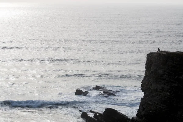 Vista Costa Hombre Solitario Cima Acantilado Mirando Océano — Foto de Stock