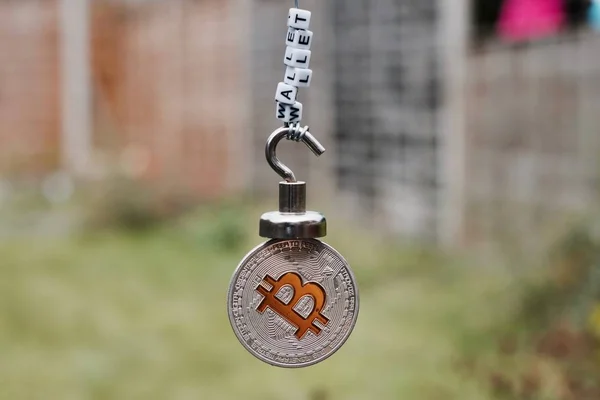 Moeda Digital Moeda Metal Físico Bitcoin Ímã Com Inscrição Carteira — Fotografia de Stock