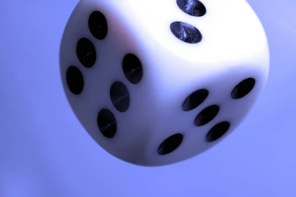 Casino Concept Dice Close — Stock Photo, Image