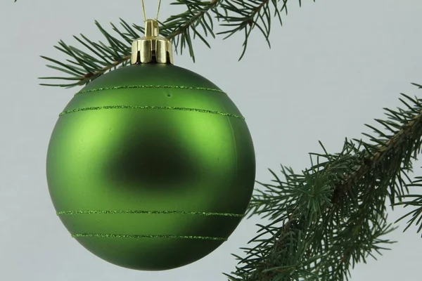 Πράσινο Βολβού Που Κρέμονται Από Τους Κλάδους Χριστουγεννιάτικων Δέντρων Λευκό — Φωτογραφία Αρχείου