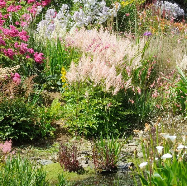 Scène Jardin Résonnant Une Telle Vue Partout Dans Monde Les — Photo