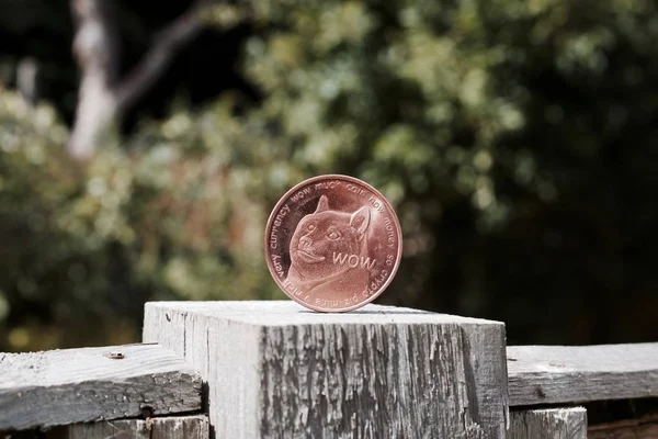 Цифровая Валюта Латунная Догекоиновая Монета Деревянном Заборе Саду — стоковое фото