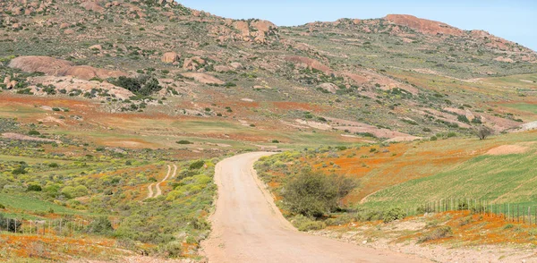 Hondeklipbaai 공화국의 Namaqualand 지역에서 Garies의 가까이도로 오렌지 — 스톡 사진