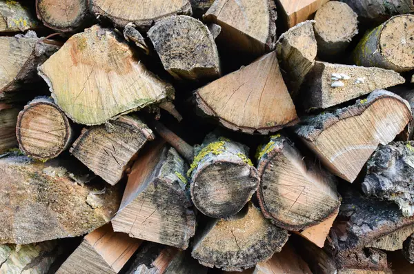 Doğal Ahşap Arka Plan Kesilmiş Odunlara Yakın Plan Odunlar Istiflendi — Stok fotoğraf