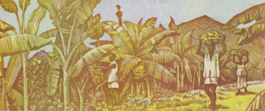 Harvesting Bananas on 100 Francs 1998 Banknote from Guinea. clipart