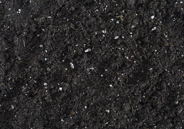 A detailed background of black potting soil