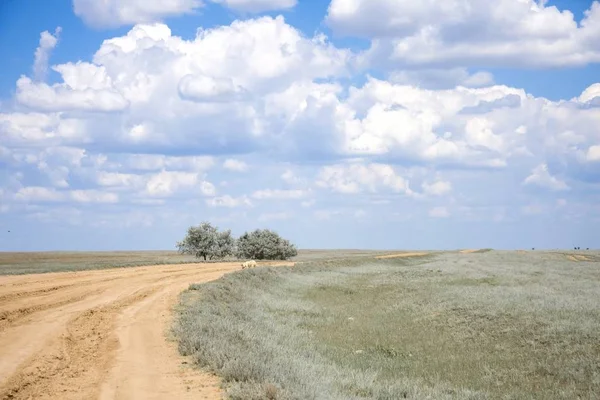 Beautiful Summer Landscape Blue Sky White Clouds — Stock Photo, Image