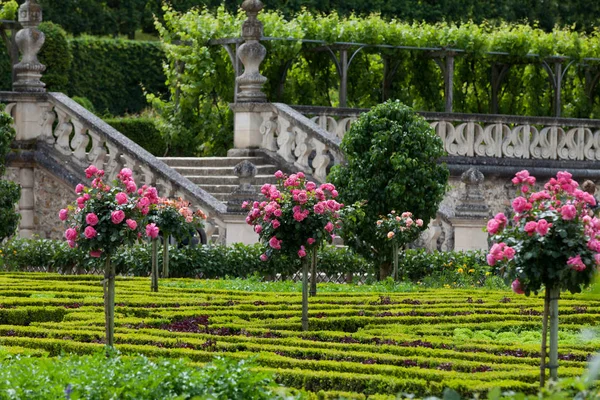 Kuchyňská Zahrada Chateau Villandry Loire Valley Francie — Stock fotografie