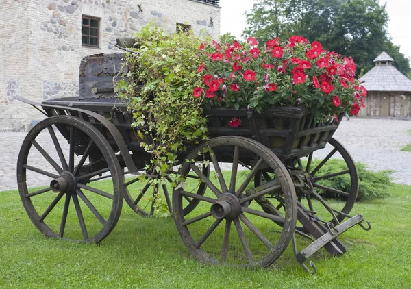 Antike Kutsche Wird Als Blume Verwendet — Stockfoto