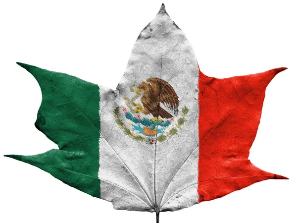 Die Mexikanische Flagge Auf Getrocknetem Herbstblatt Gemalt — Stockfoto