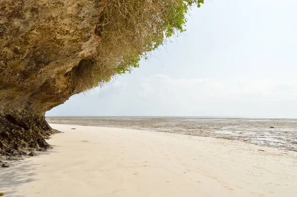 Kleine Inham Met Een Steen Het Witte Zand Van Het — Stockfoto