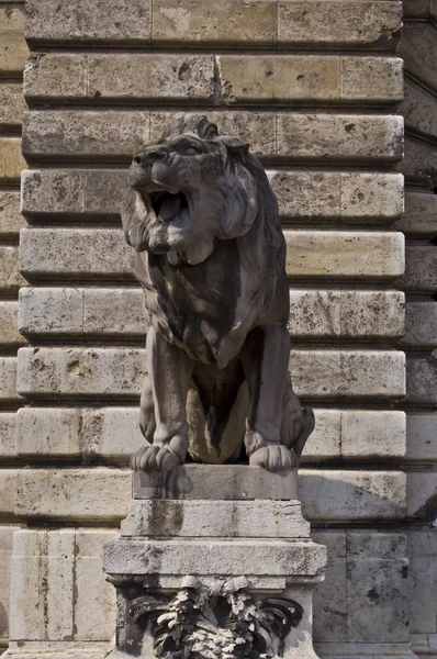 Lion Gardant Entrée Château Budapest — Photo