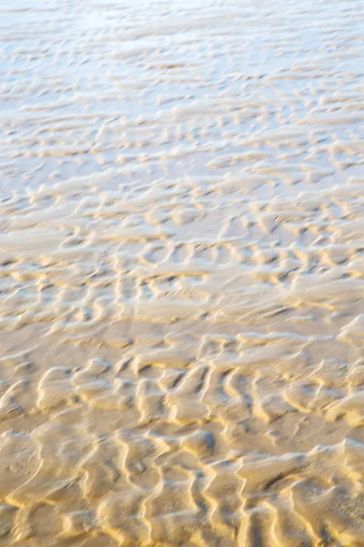 Marokko Afrika Bruin Kustlijn Natte Zand Strand Buurt Van Atlantische — Stockfoto