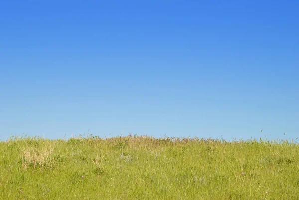 Hierba Verde Con Cielo Azul Nubes —  Fotos de Stock