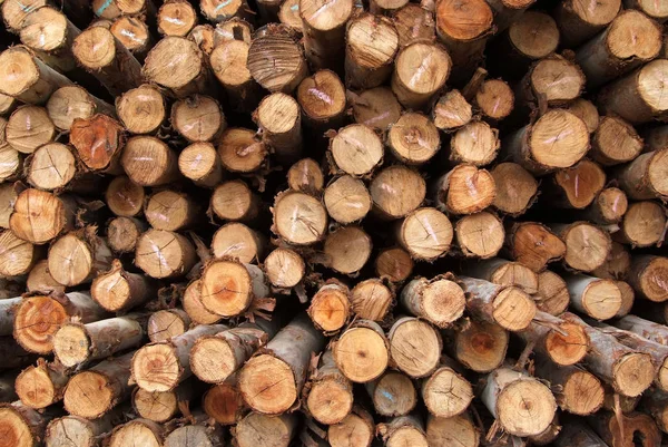 Ein Haufen Geschnittenes Holz Für Den Bau Textur Hintergrund Muster — Stockfoto