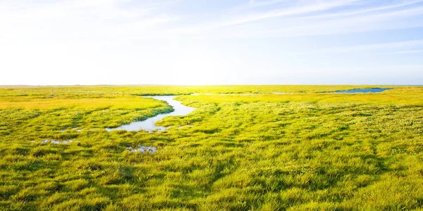 Idyllic Lawn Stream Sunlight — Stock Photo, Image