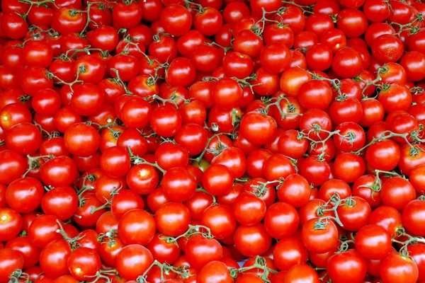 Red Cherry Rajčátky Zblízka — Stock fotografie