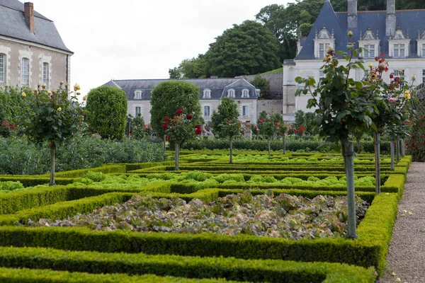 Ogrody Pałac Villandry Dolinie Loary Francji — Zdjęcie stockowe