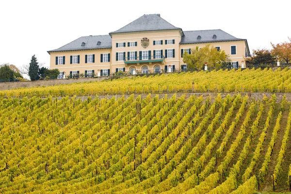 Château Johannisberg Avec Vignoble Hesse Allemagne — Photo