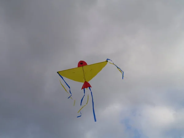 Dragón Volando Cielo — Foto de Stock