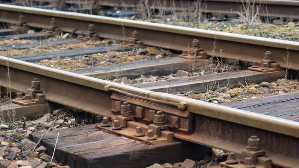 View Railway Track Sunny Day — Stock Photo, Image