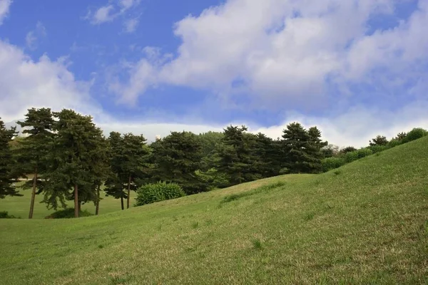 Pradera Hierba Verde Cielo Azul Con Nubes —  Fotos de Stock