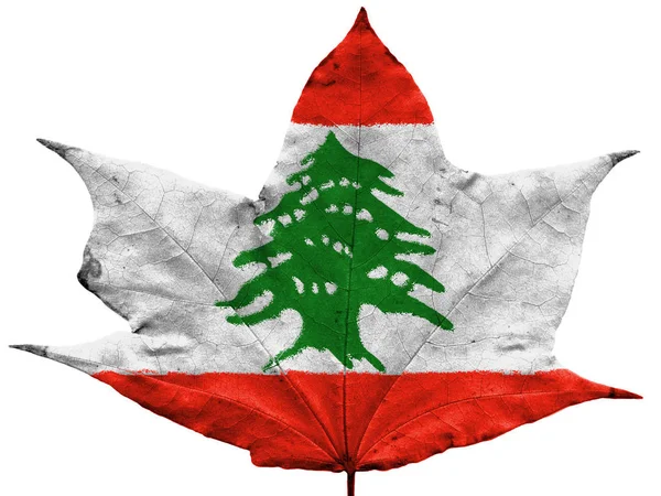 Bandeira Libanesa Pintada Folha Seca Outono — Fotografia de Stock