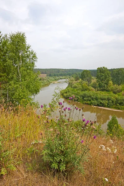 Letní Krajina Pohled Řeku Les Rusko — Stock fotografie