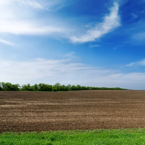 Campo Primavera Negro Cielo Nublado — Foto de Stock