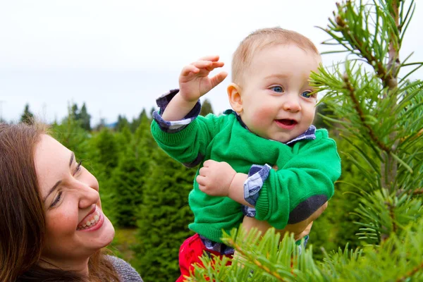 一个可爱的小男孩穿着绿色衬衫在俄勒冈州的圣诞树农场玩得很开心 — 图库照片