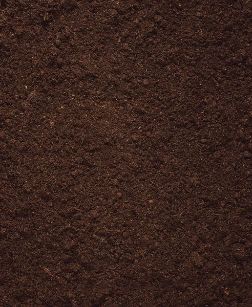 Торфяные Почвы Вблизи — стоковое фото