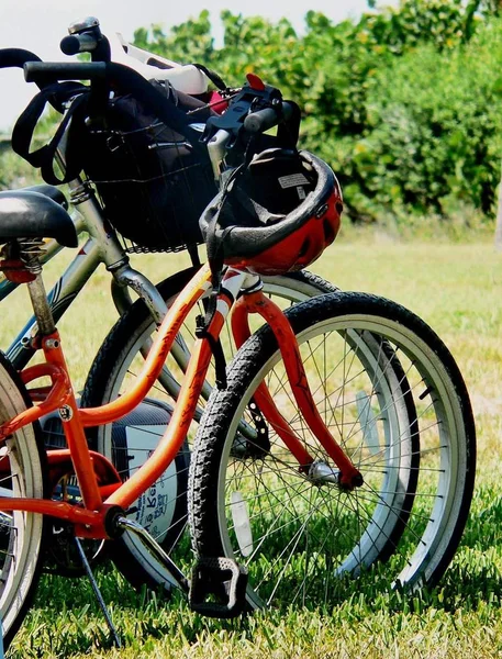 Detalle Bicicletas Cascos Seguridad Aparcados Sombra Césped Cubierto Hierba — Foto de Stock