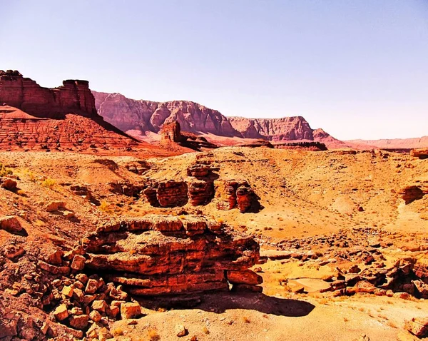 Sivatagi Kilátás Utah Usa Ban Nyáron — Stock Fotó