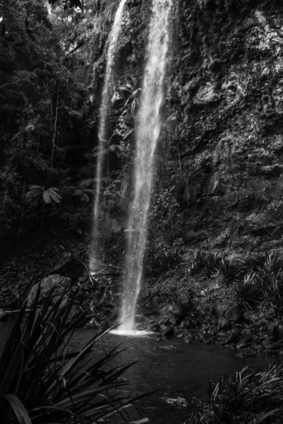 Přirozeně Krásná Twin Falls Springbrook Queensland — Stock fotografie
