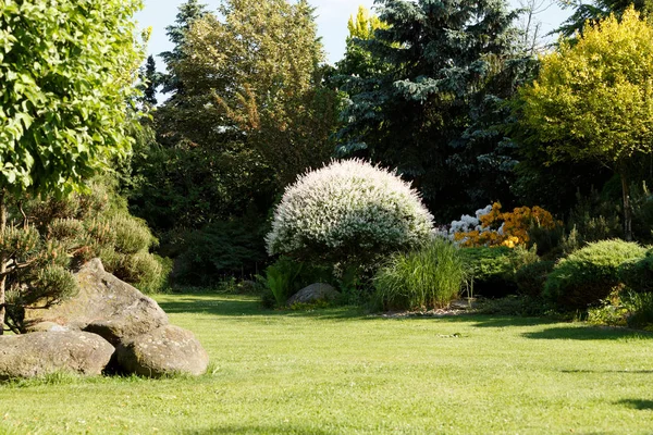 Colorato Giardino Primaverile Alla Luce Del Sole Serale Primavera Concetto — Foto Stock