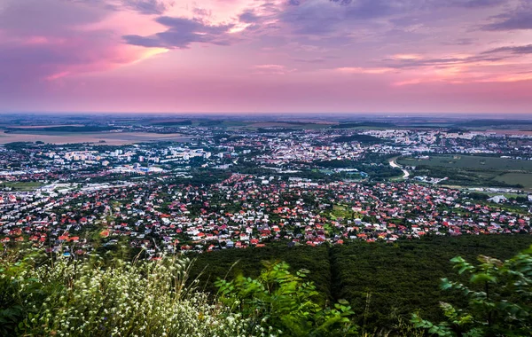 Şehir Nitra Yukarıdan Planda Bitkiler Ile Gün Batımında — Stok fotoğraf
