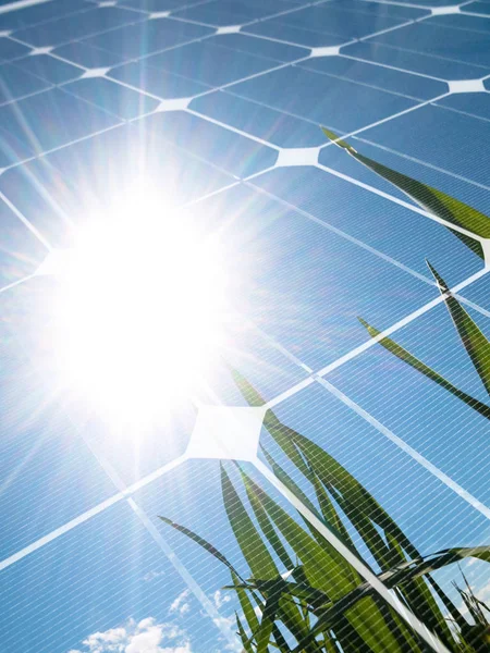 Green Wheat Field Sun Photovoltaic Panel — Stock Photo, Image