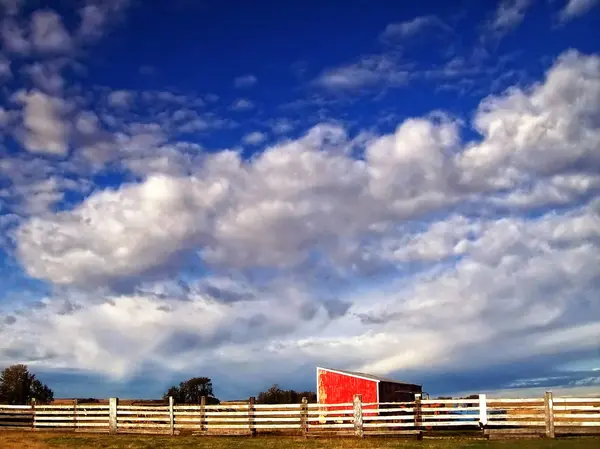 Hek Schuur Prairies Van Alberta Warme Najaarsdag — Stockfoto