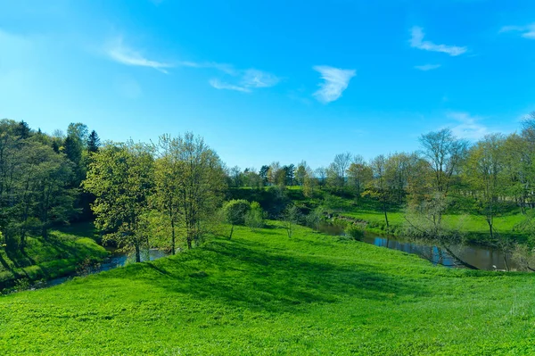 Paisaje Primaveral Del Parque Verde — Foto de Stock