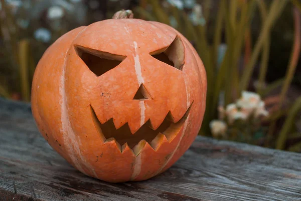 Jack Linterna Aire Libre Víspera Halloween Tarde Soleada Otoño —  Fotos de Stock