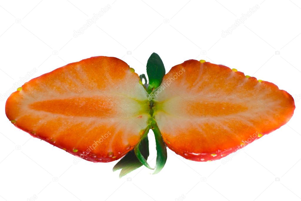 YAYImages